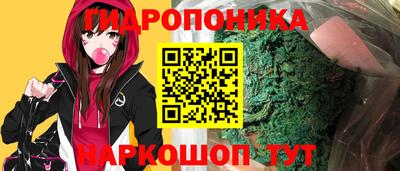 apvp Новодвинск