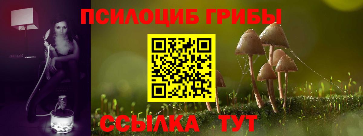 Псилоцибиновые грибы MAGIC MUSHROOMS  где купить наркоту  Улан-Удэ  Вход с VPN 